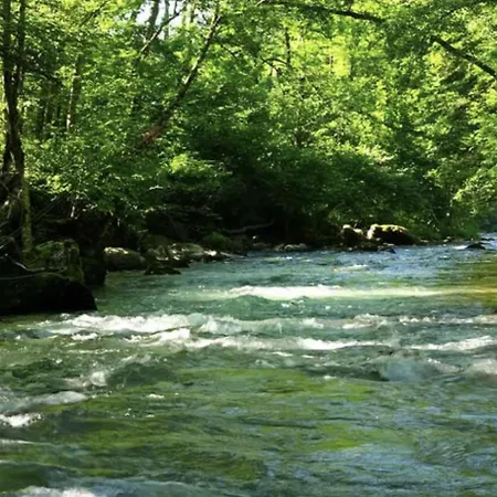 Dans Les Arbres Frühstückspension